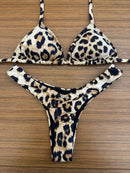 Asa Delta Empina Bumbum - Felina